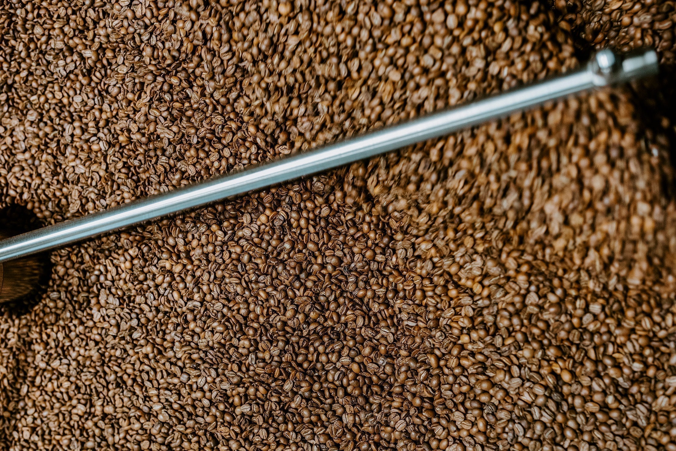 Kaffeepreise im Wandel – warum Bohnen heute teurer sind als je zuvor