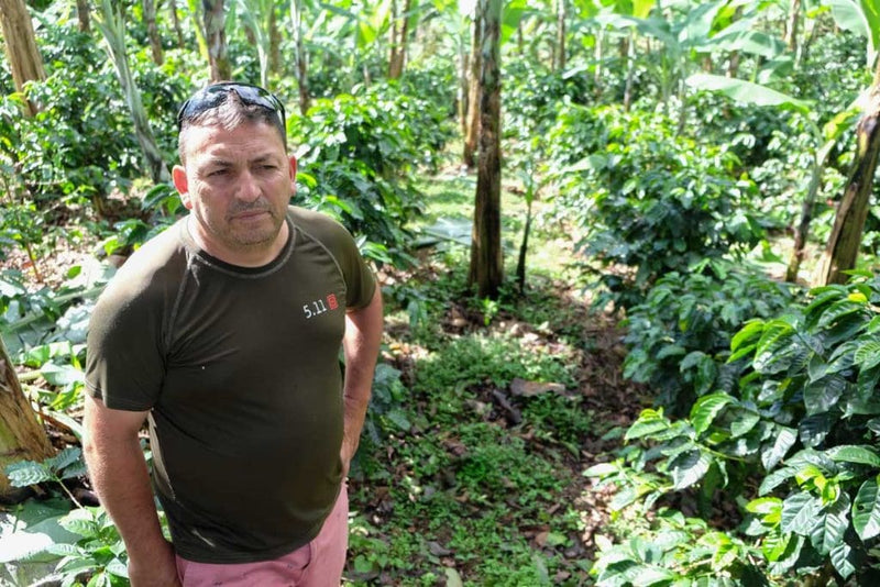 COSTA RICA JUANACHUTE FILTER