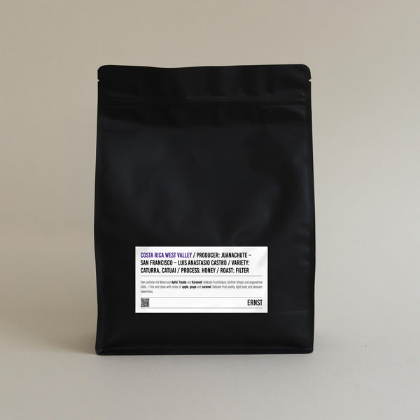 COSTA RICA JUANACHUTE FILTER
