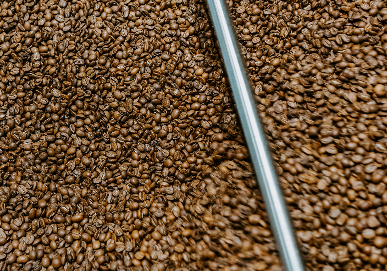 Speciality Coffee Bohnen in der Kühlwanne in der Rösterei von ERNST Kaffeeröster